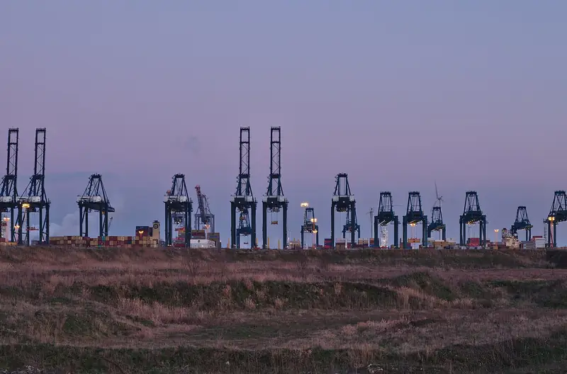 Container cranes at a port terminal